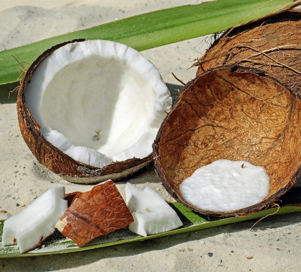 Wie gesund ist Kokosöl?